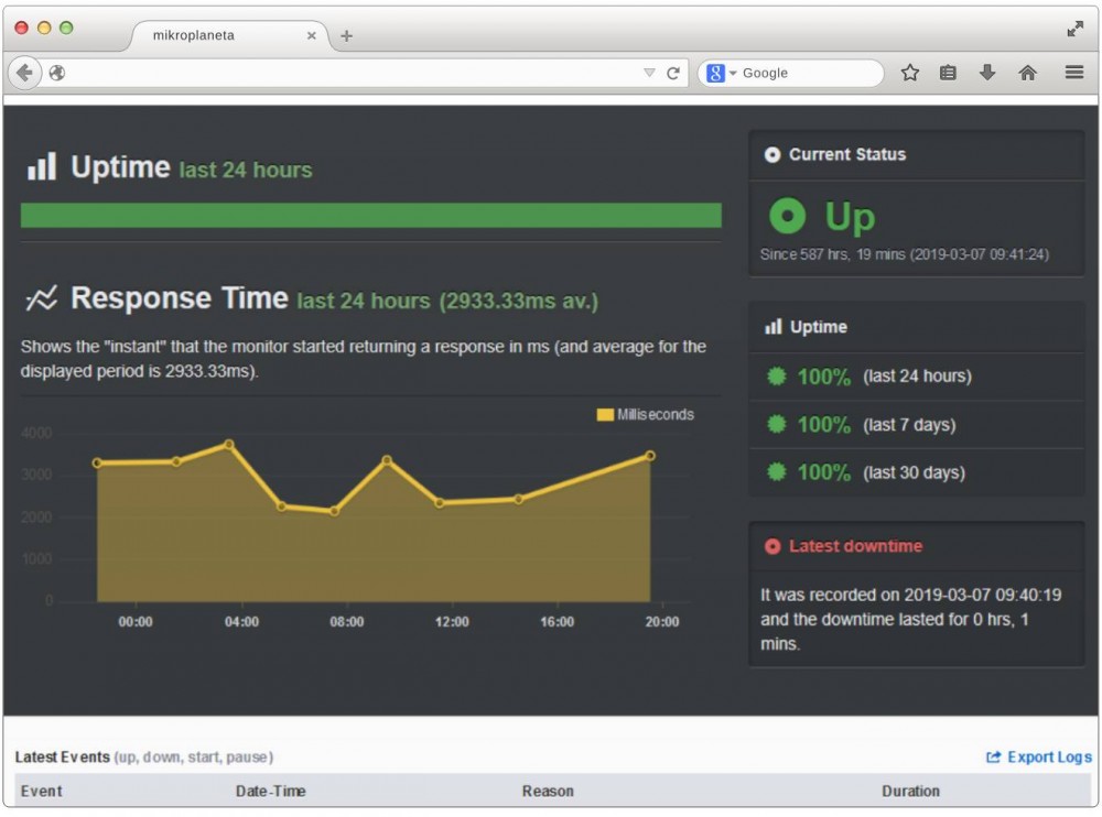 monitoring strony internetowej