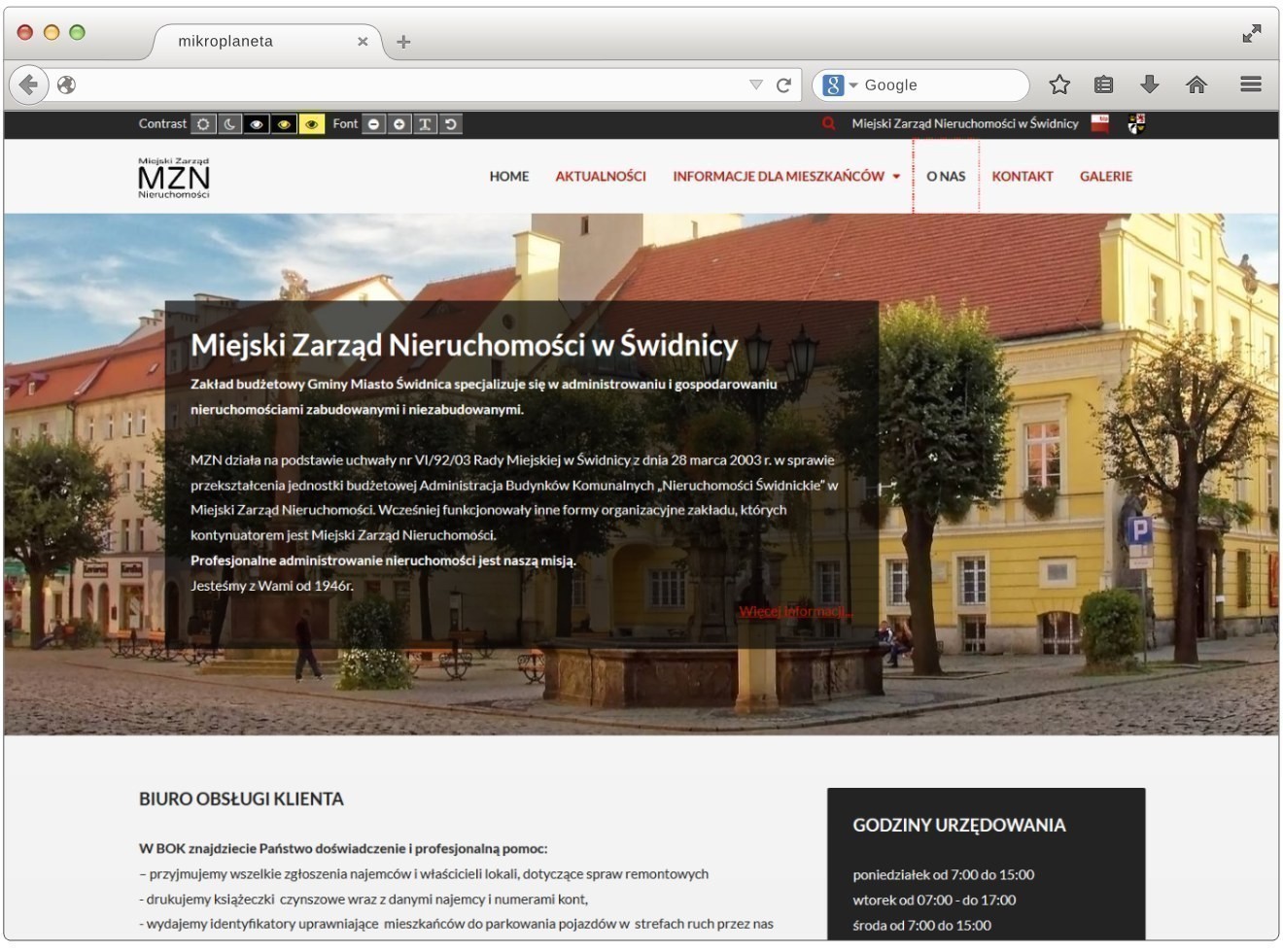 Strona internetowa dla MZN w Świdnicy